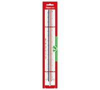 Aristo AR23701EB College - Scala triangolare (riduzione 1:2,5:5:10:20:50:100, plastica, lunghezza 30 cm) per ingegneri e ingegneri meccanici (F)