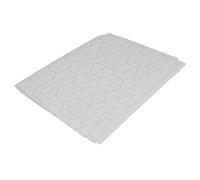 Ariston Cappa Grease Filter