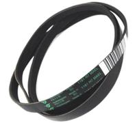 ARISTON - courroie 1181 h8 poly v pour lave linge ARISTON