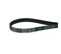 Cinghia trapezoidale per asciugatrice Ariston Hotpoint Indesit C00300793 Whirlpool 482000023435 1991PH8E