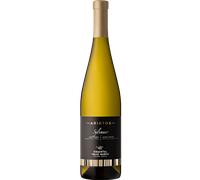 Aristos Sylvaner 1,5L MAGNUM - Cantina Valle Isarco 2024