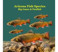 Arizona Game Fish and Panfish Species Kids Book: Great Book About the Different Types of Fish in Arizona