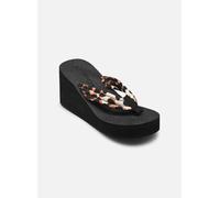 Arizona Love - Jim new Marrone - Zoccoli 41 Marrone