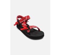 Arizona Love - Trekky Rosso - Sandali e scarpe aperte 36 Rosso