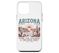 Arizona Stone Sun Stillness Tempo essiccato dolce Custodia per iPhone 12 mini