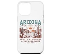 Arizona Stone Sun Stillness Tempo essiccato dolce Custodia per iPhone 12 Pro Max