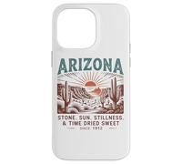 Arizona Stone Sun Stillness Tempo essiccato dolce Custodia per iPhone 14 Pro Max