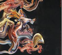 Ark Noir See You On the Other Side (CD) Album