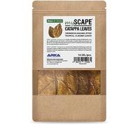 ARKA mySCAPE-CATAPPA Set di 10 Foglie di Badamier, 8-12 cm, Condizionatore naturale dell'acqua e integratore alimentare per pesci e gamberi in acquari d'acqua dolce