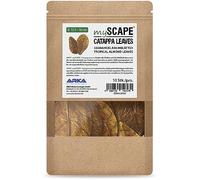 ARKA mySCAPE-CATAPPA Set di 10 foglie di Badamier, da 12,5 a 16 cm, condizionatore naturale dell'acqua per pesci e gamberi in acquari d'acqua dolce, cibo per pesci e gamberi