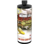 ARKA POND Nite-Out II - Starter Bacteria (946ml.)