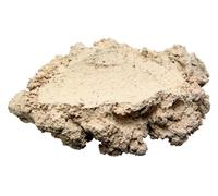 ARKA Supporto per Conchiglie in Ceramica Riff: Realizzato al 100% con materie Prime Naturali, Privo di Sostanze nocive, porosità, Prodotto in Germania, (S)