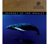 David Arkenstone – Journey of the Whales – CD – Green Hill