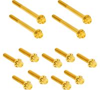 ARLEN NESS 300-931 BOLT KIT TITANIUM - SOFTAIL 18-25 PRIMARY GOLD