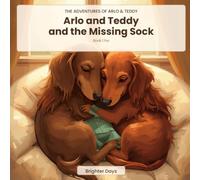 Arlo and Teddy and the Missing Sock