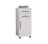 Armadietti per archivio Armadietto multifunzionale for cartelle e archivi Armadietto a doppio cassetto in acciaio Libreria for balcone Armadietto portaoggetti for ufficio con armadietto con chiusura A