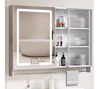 Armadietto a specchio da bagno con contenitore, armadietto per medicinali LED in alluminio con porta in vetro, armadietto a specchio anti-appannamento, montaggio a parete con oscuramento continuo e