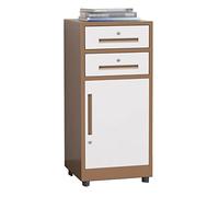 Armadietto in metallo color vitello con 2 ripiani e serratura, completamente assemblato, color caffè, ideale per carta legale e da lettere formato A4, perfetto per casa e ufficio nizat