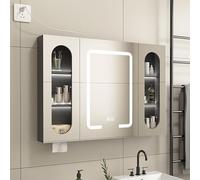 Armadietto intelligente dello specchio del bagno del LED con la funzione di immagazzinaggio e di denebbia per gli spazi moderni di