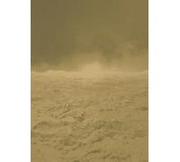 Armani Casa Carta da parati panoramica Leopardi - 9970