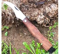 ARMERIAONLINE SINCE 1999 Coltello Funghi con Spazzola Coltello per Raccolta Funghi Porcini cardoncelli Tartufo con Lama in Acciaio Inox