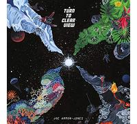 Armon Joe Jones - Turn To Clear View