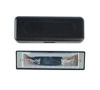Armonica, 10 buche c chiave 20 melodia professionale standard strumento musicale in acciaio inossidabile con custodia per adulti, professionisti, principianti (Argento)