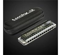 Armonica 13 Strumenti Musicali Armonica A Bocca Dominati 13 Fori Armonica A Bocca In Do Per Principianti