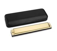 Armonica 24 Fori Tremolo Professionale Armonica A Bocca Strumento Musicale(Gold,F Tone)