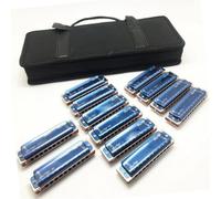 Armonica A 10 Fori 12 Chiavi Di C/D/E/F/G Paddy Blues Harp Diatonica(Harmonica)