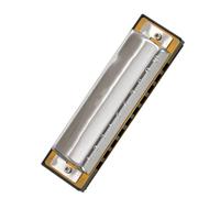 Armonica a 10 fori Bules Arpa diatonica Materiale durevole del guscio in rame cromato(F)