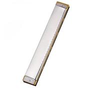 Armonica A 28 Fori Accento/Polifonia Chiave C Armonica Professionale Armonica Tremolo Mini Arpa Strumenti Armonica armonica a bocca professionale (Color : Silver)