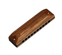 Armonica A Bocca 10 Fori 20 Brani Armonica A Bocca Blues Deluxe Armonica Chiave Di C Per Principianti Adulti