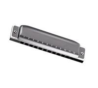 Armonica A Bocca A 12 Fori Per Adulti Professionale Pratica Con Copertura In Resina Blu Grigia Tasto G E Altri Toni armonica Strumento Professionale(Gray,F G flat)