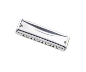 Armonica a bocca diatonica a 10 fori Chiave di C/D/E/F/G/A/Bb Professione musicale Strumento Blues arpa per principianti(G)