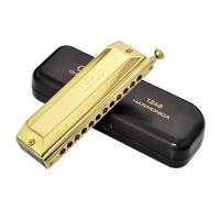Armonica a bocca professionale 12 fori 48 note armonica a bocca arpa strumento musicale armonica cromatica strumento professionale(Gold)