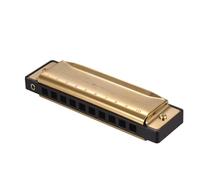 Armonica A Bocca Professionale Armonica a bocca diatonica in chiave di Do con ance in ABS superficie a specchio 10 fori armonica blues per principianti(Gold)