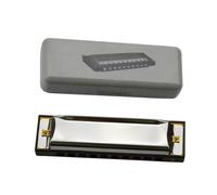 Armonica A Bocca Professionale Armonica Blues A 10 Fori Chiave In Do Arpa Diatonica Copertura In Metallo Pettine In ABS Melodica Organo A Bocca