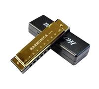 Armonica A Bocca Professionale Armonica Blues A 10 Fori Con Anima In Rame E Titanio Strumento Musicale Armonica(Gold)