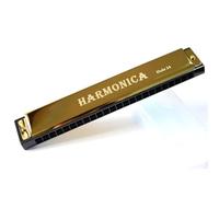 Armonica A Bocca Professionale Armonica Blues a 24 fori in Do organo a bocca in metallo arpa strumento musicale a fiato portatile da viaggio per principianti(Gold)