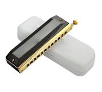 Armonica A Bocca Professionale Armonica Cromatica 12 Fori 48 Toni/16 Fori 64 Toni Organo A Bocca Strumenti Musicali Professionali Armonica Da Esibizione(12holes)