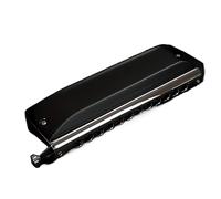 armonica a bocca professionale Armonica Cromatica Ad Ancia 12 Fori Melodia C Per Pratica Adulta Prestazioni Professionali Nero Opaco