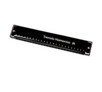 Armonica A Bocca Professionale Armonica polifonica a 24 fori in do per principianti armonica per insegnare strumenti musicali agli adulti(Black)