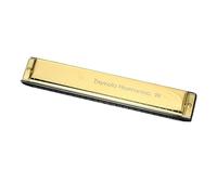 Armonica A Bocca Professionale Armonica polifonica a 24 fori in do per principianti armonica per insegnare strumenti musicali agli adulti(Gold)