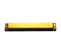 Armonica a bocca professionale in chiave di Do 24 fori polifonia diatonica, con custodia per musica(Gold)