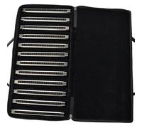 Armonica A Bocca Professionale Set Di 24 Fori Di 12 Armoniche Tremolo Kit Armonica Con Custodia