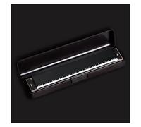 Armonica A Bocca Professionale Strumento Introduttivo Per Principianti Adulti Esecuzione Polifonic Pratica Monotono 24 Fori In Do(Black)