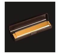 Armonica A Bocca Professionale Strumento Introduttivo Per Principianti Adulti Esecuzione Polifonic Pratica Monotono 24 Fori In Do(Gold)
