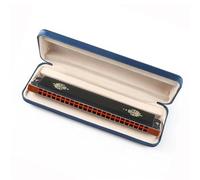 armonica a bocca Tremolo Armonica A 24 Fori Bocca Organo ABS Pettine Ottone Ance Arpa Strumenti Musicali Chiave C (Color : G Key)