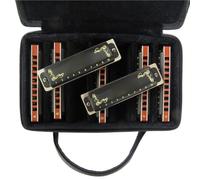 Armonica Armonica A Bocca A 10 Fori Armonica Diatonica Con 7 Tasti Set Di Musica Per Arpa Blues Per Principianti Regalo